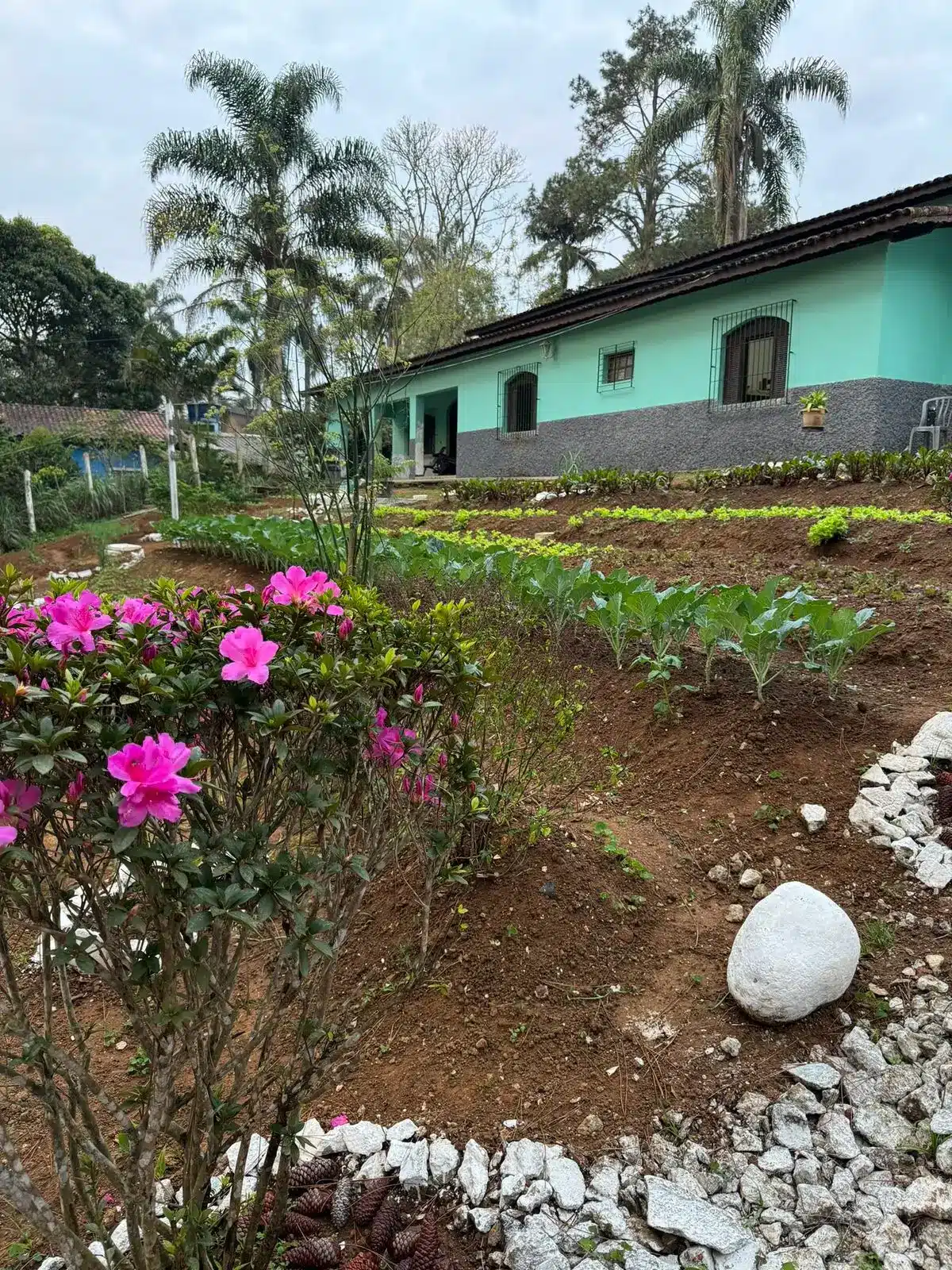 Clínica de Recuperação em Suzano – Internação (Voluntária e Involuntária) 24 hs 24 clinica grupo de reabilitacao casa jardim