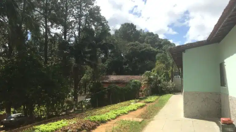 Home 10 internação para alcoólatra em Suzano