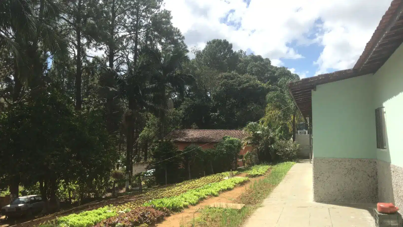 Leia mais sobre o artigo Internação para Alcoólatra em Suzano: quando buscar ajuda imediata