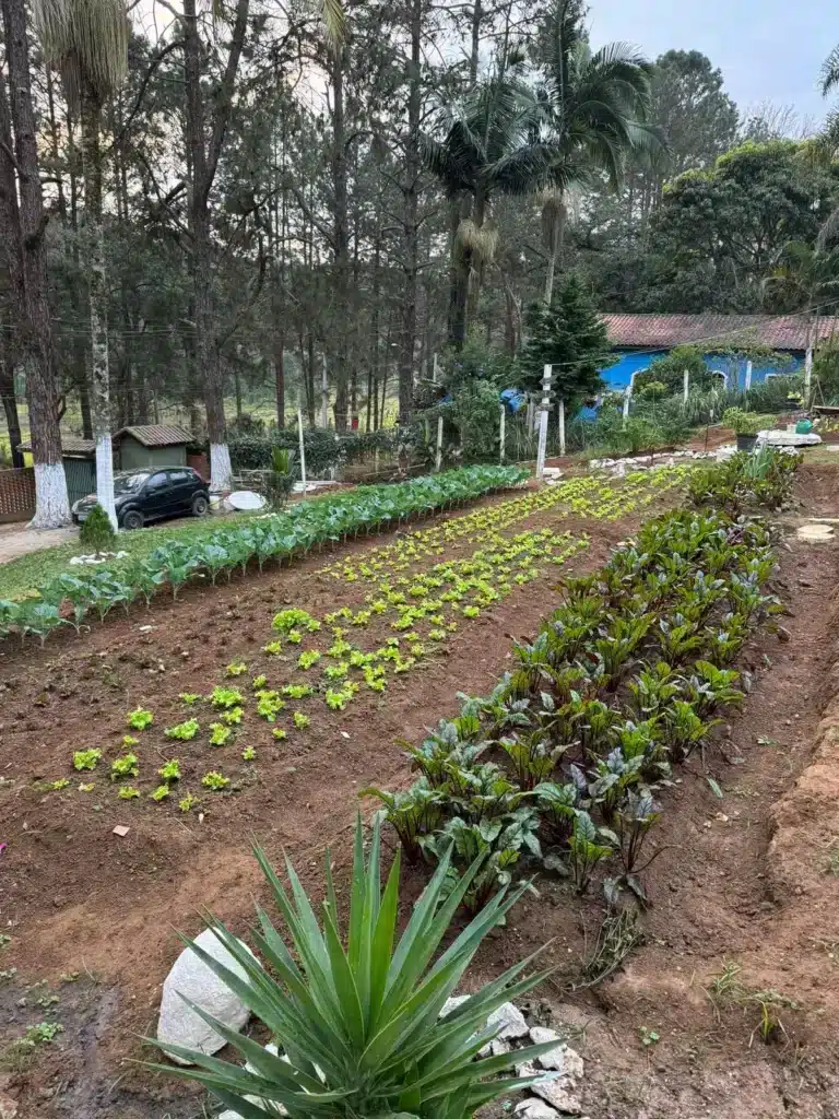 clinica grupo de reabilitacao horta frente