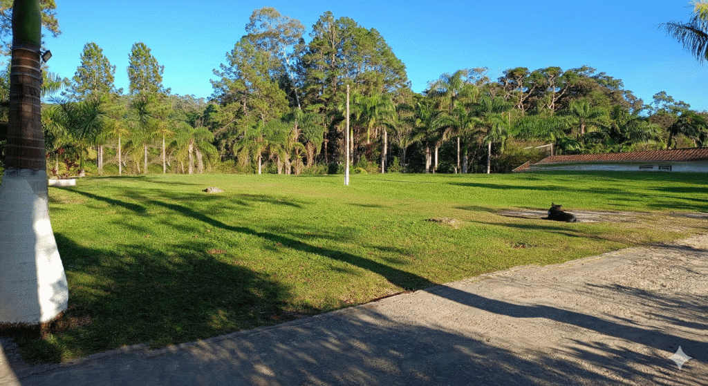 clinica de recuperação em santo andre
