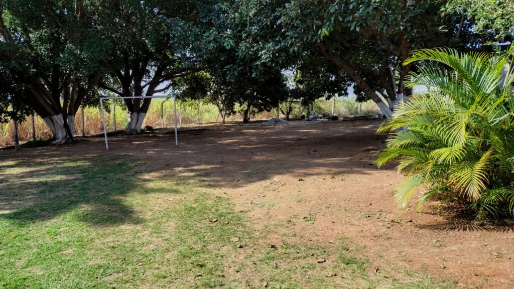 WhatsApp Image 2025 12 21 at 21.56.59 3