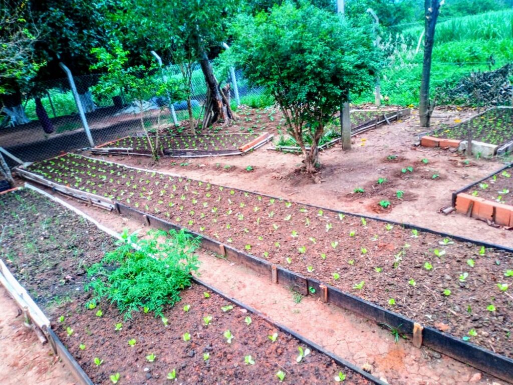 clínica de recuperação em Caçapava SP