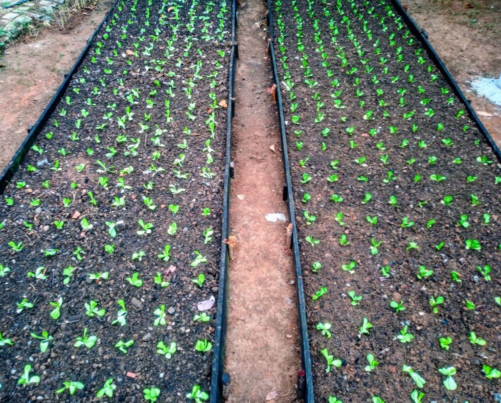 WhatsApp Image 2025 12 21 at 21.57.51