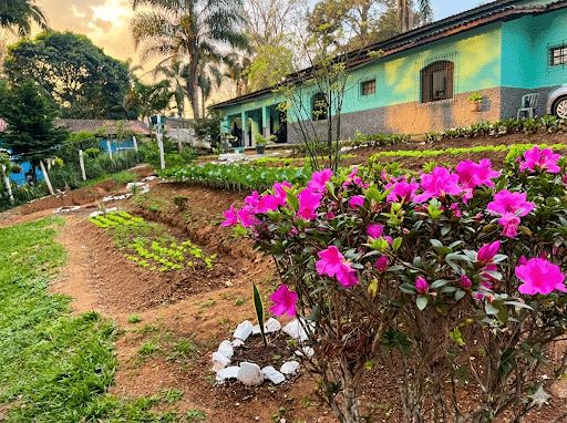 CLINICA DE RECUPERACAO