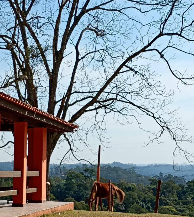 WhatsApp Image 2026 01 15 at 16.12.51