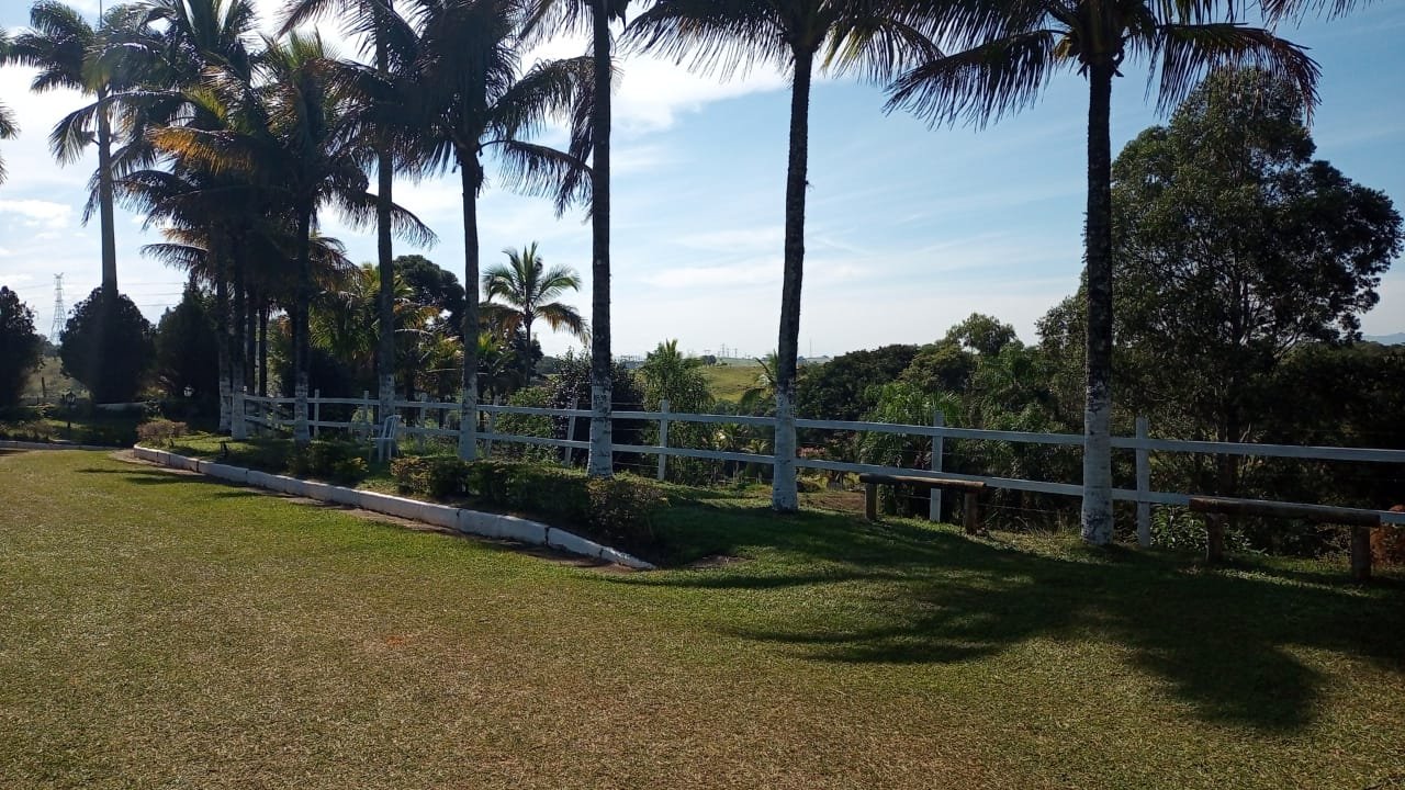 Clínica de Recuperação em Taubaté – SP - Vista do jardim com palmeiras